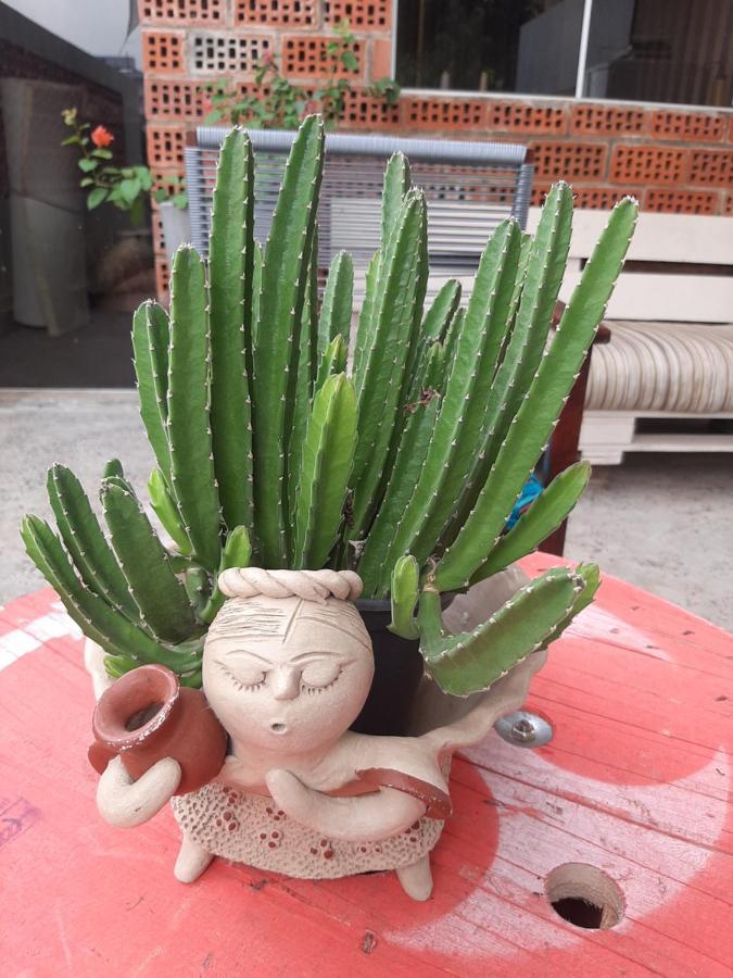 Taguato Apartment อะซุนซิออง ภายนอก รูปภาพ